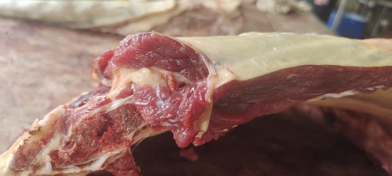 多肉新鲜牛肋排/牛四肋排含肉量70%本地黄牛肉/牛腱子