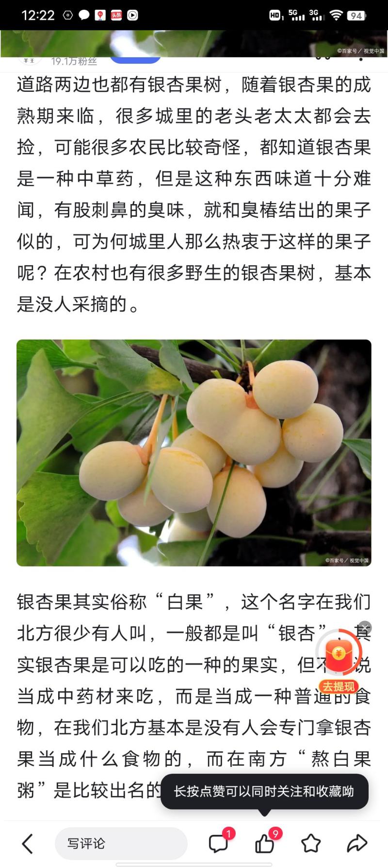白果