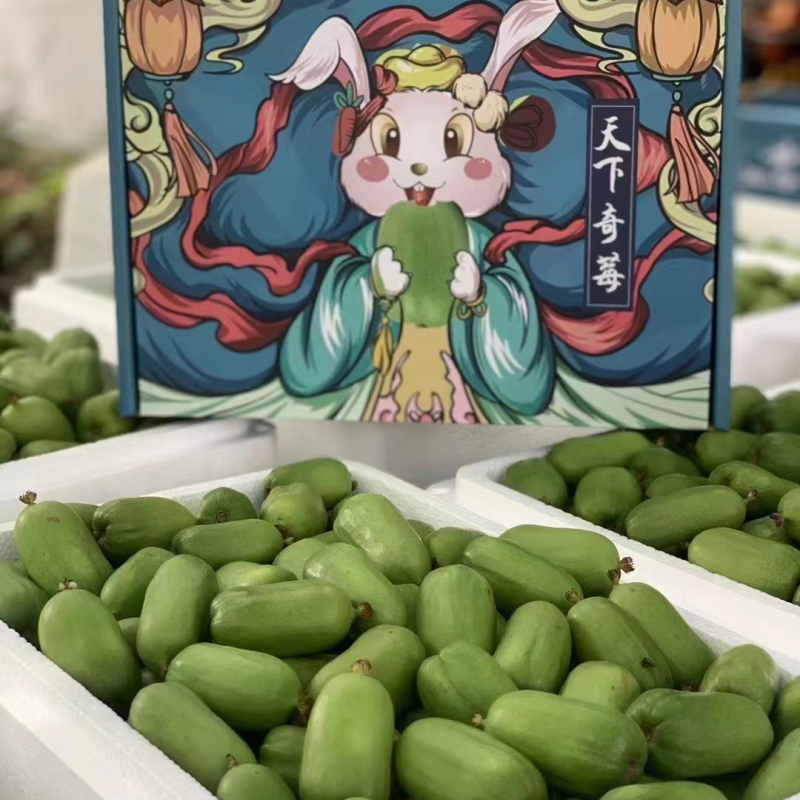 丹东软枣猕猴桃，产地直发！