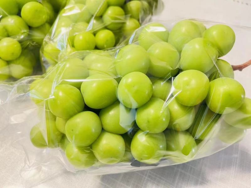 陕西万亩果园精品阳光玫瑰产地直采，代收代发。
