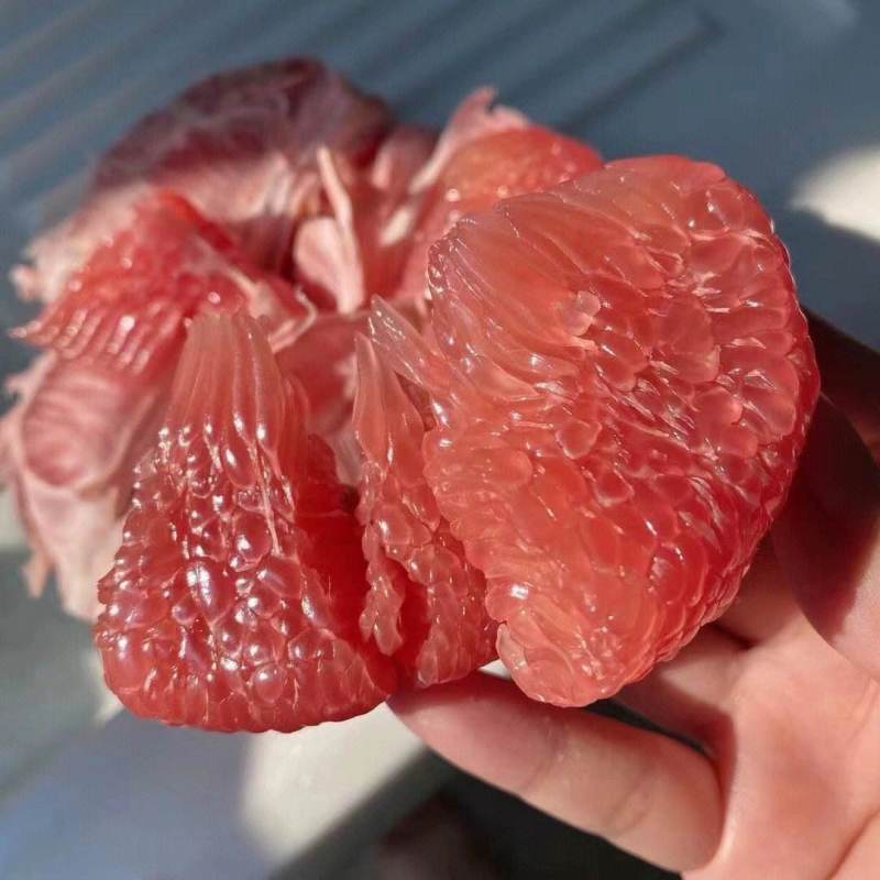 湖北蜜柚，红心柚，白心柚，柚子大量产地直发，口感好，