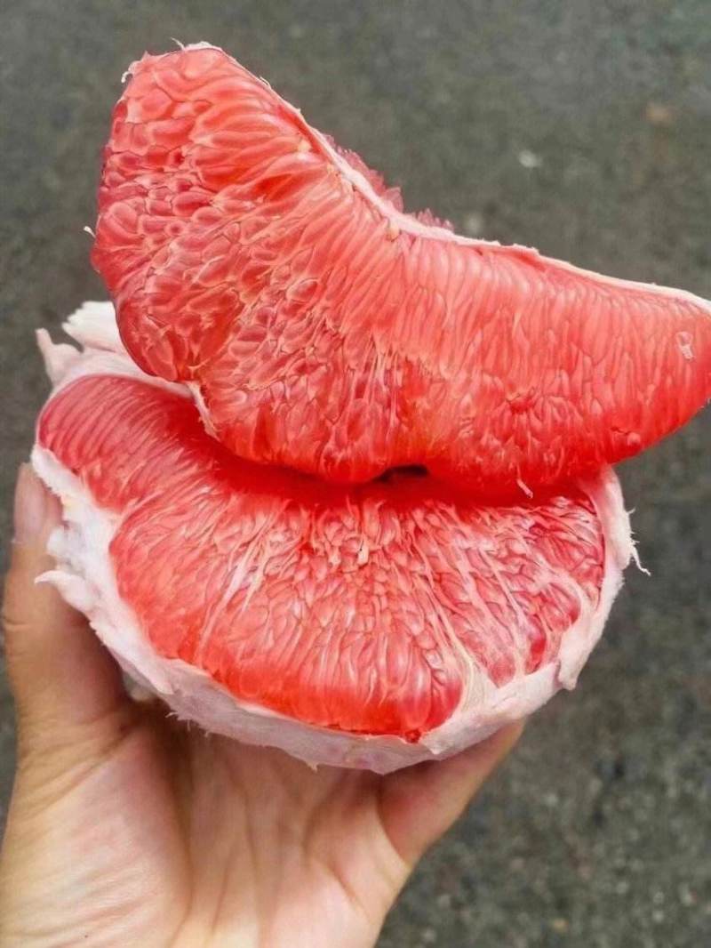 湖北蜜柚，红心柚，白心柚，柚子大量产地直发，口感好，
