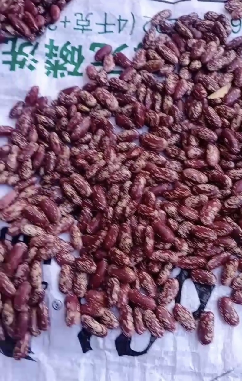 红花豆