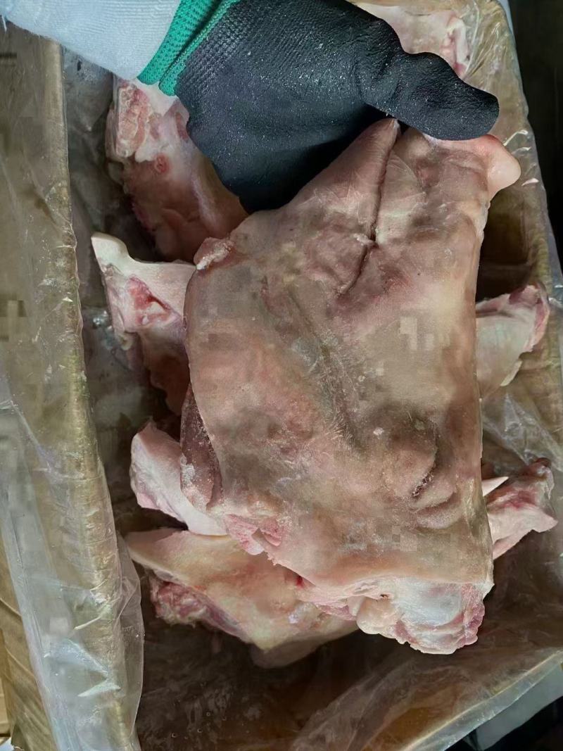 鸿运当头猪脸