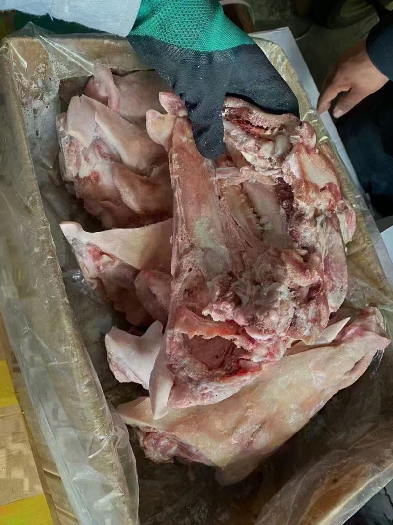 鸿运当头猪脸