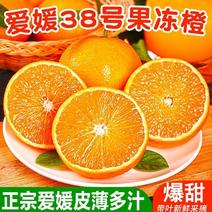 [热卖]四川爱媛果冻橙爱媛38号橙子产地直发