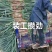 甘肃精品钢葱产地发货白杆长度40-50公分