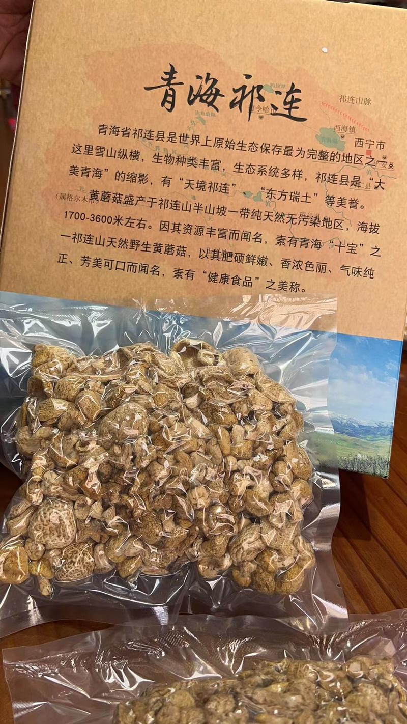 黄菇祁连山原产地货源礼盒包装代发批发零售