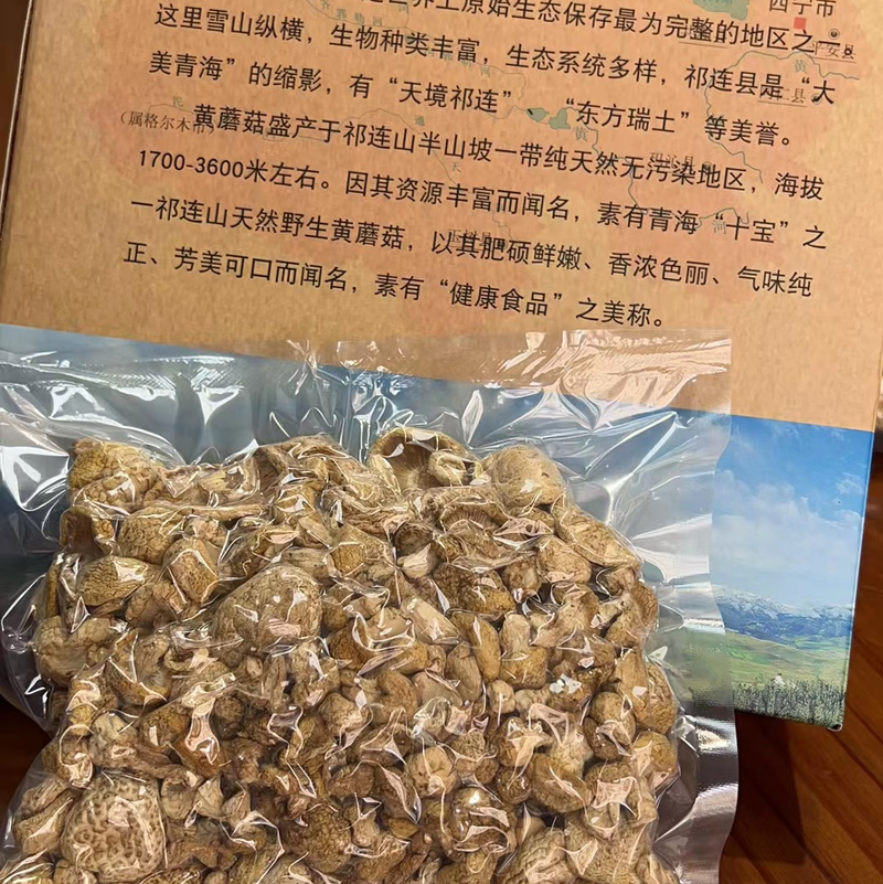 黄菇祁连山原产地货源礼盒包装代发批发零售