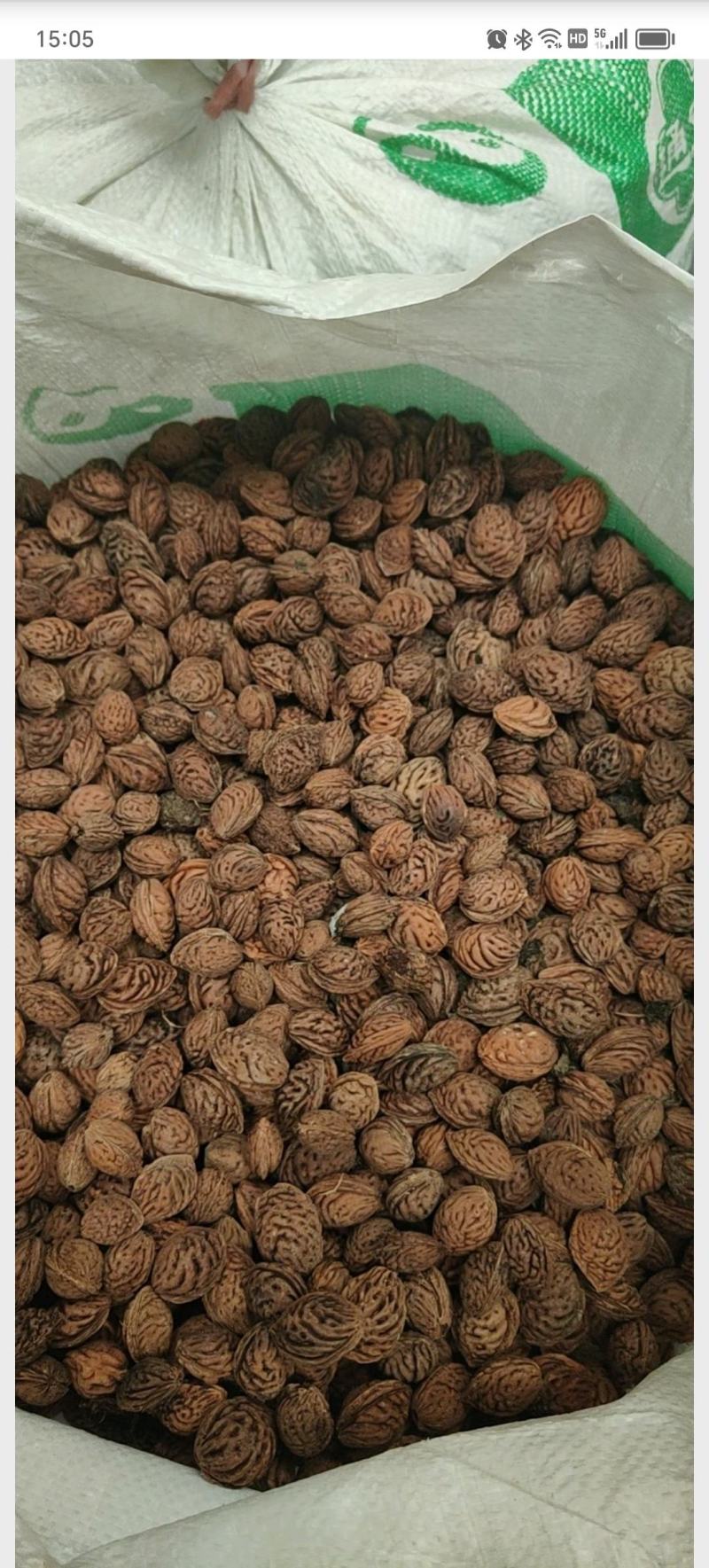 【毛桃核】【山桃核】货量大质量好多年经营保质保量长期供应