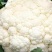 安徽白花菜花花菜，青梗花菜，白面花菜，量大从优，电联采购