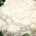 安徽白花菜花花菜，青梗花菜，白面花菜，量大从优，电联采购