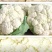 安徽白花菜花花菜，青梗花菜，白面花菜，量大从优，电联采购