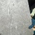 2/3银鱼欢迎下单保证无杂
