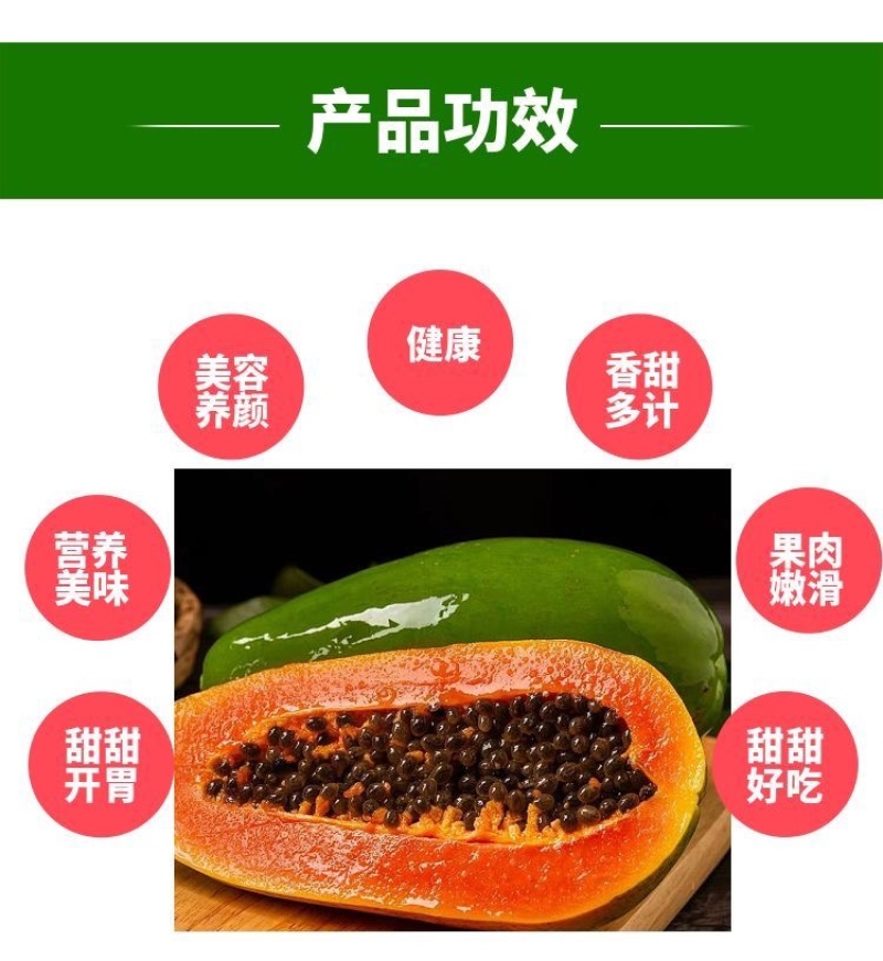 大青红肉水果木瓜苗一年四季开花结果高产矮化木瓜树苗