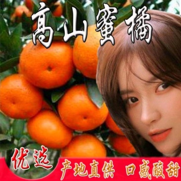 汉中柑桔特早蜜橘）甘甜化渣全国发货果园直供预售