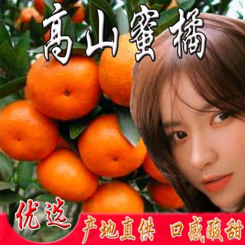 汉中柑桔特早蜜橘）甘甜化渣全国发货果园直供预售