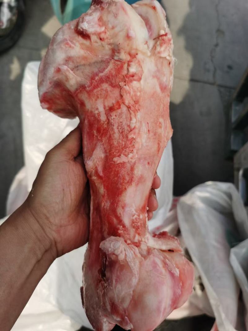 纯圆牛棒骨，骨髓满满，熬汤，锯块烧烤佳品！