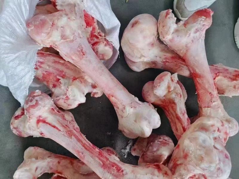 纯圆牛棒骨，骨髓满满，熬汤，锯块烧烤佳品！