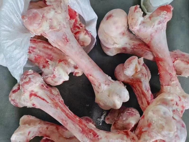 纯圆牛棒骨，骨髓满满，熬汤，锯块烧烤佳品！