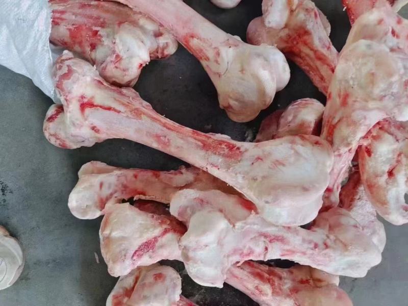 纯圆牛棒骨，骨髓满满，熬汤，锯块烧烤佳品！
