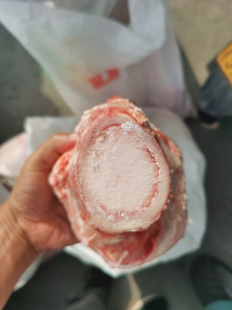 纯圆牛棒骨，骨髓满满，熬汤，锯块烧烤佳品！