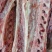 羊脊骨，也叫羊刀片骨特价5.5一斤，带肉带骨髓带板筋