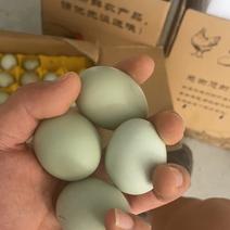 精品绿壳鸡蛋