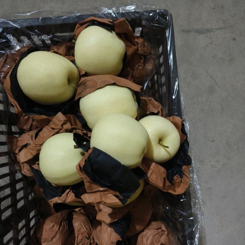 黄元帅苹果大量有货。有买的朕系