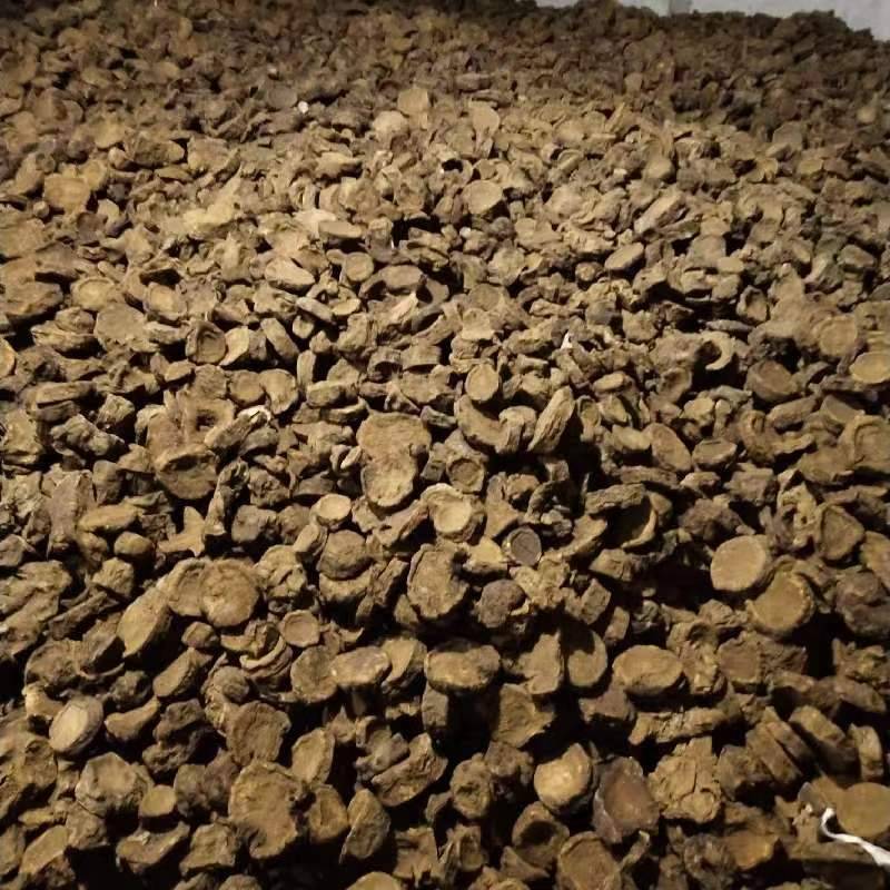马蹄大黄鲜货干货产地大货直供