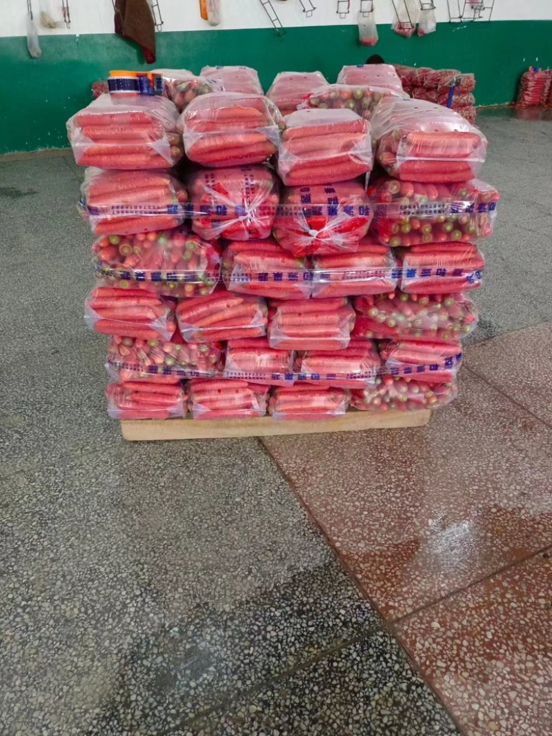 水果红萝卜，日供万斤，量大价优，质量三包