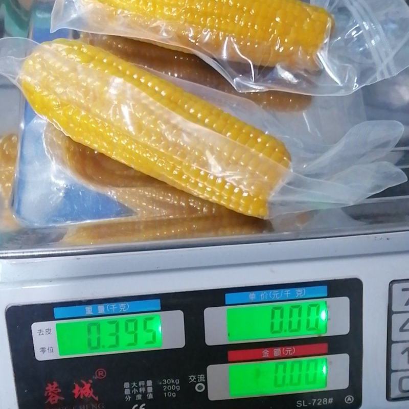 黑龙江黄糯玉米整车走货量大从优欢迎采购对接联系