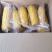黑龙江黄糯玉米整车走货量大从优欢迎采购对接联系