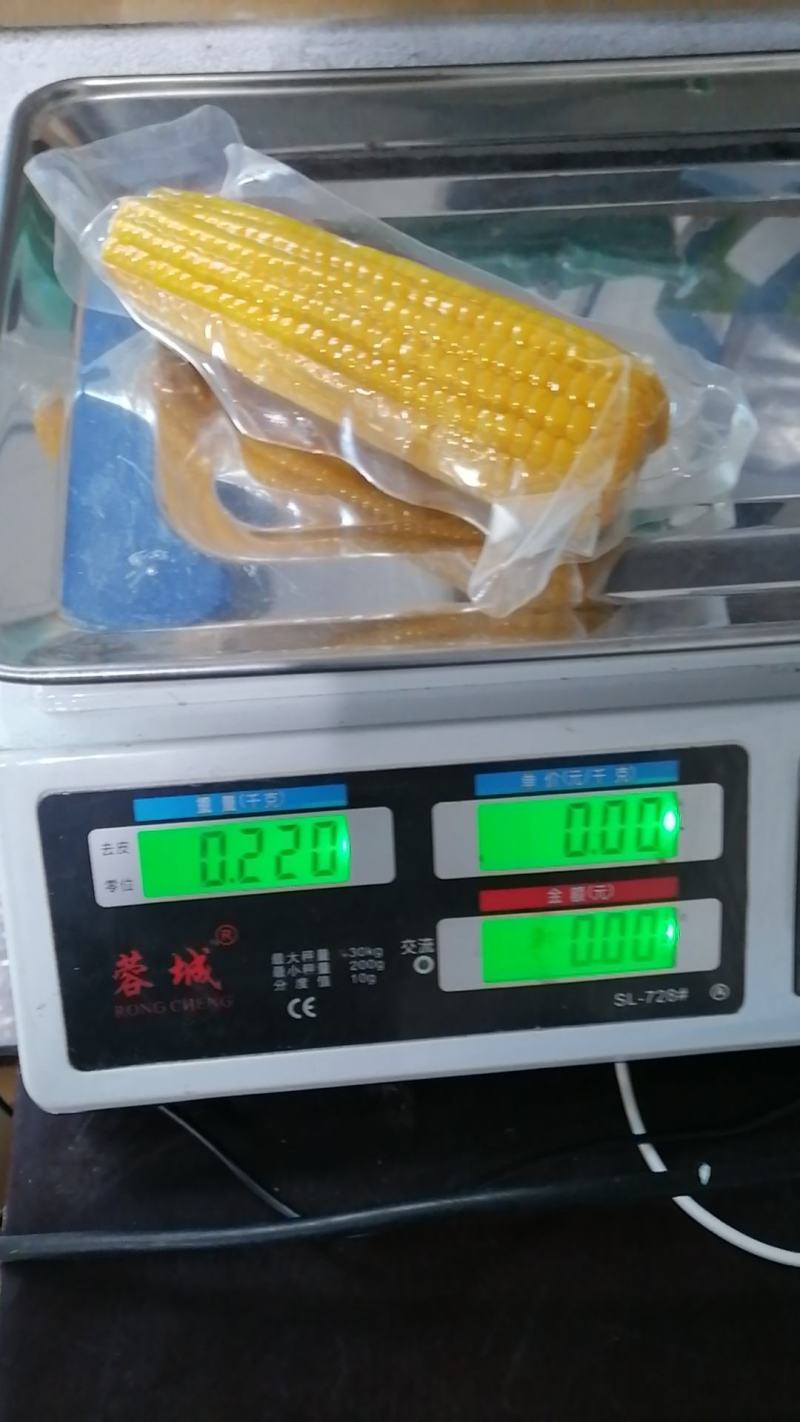 黑龙江黄糯玉米整车走货量大从优欢迎采购对接联系