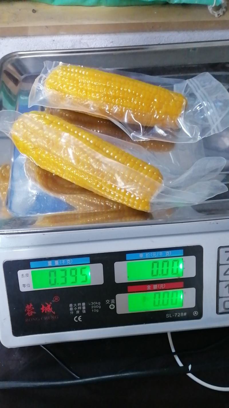 黑龙江黄糯玉米整车走货量大从优欢迎采购对接联系