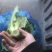 南通油麦菜精品油麦菜常年供应价格便宜欢迎咨询采购