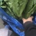 南通油麦菜精品油麦菜常年供应价格便宜欢迎咨询采购