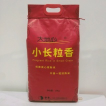 大地心小长粒香10kg