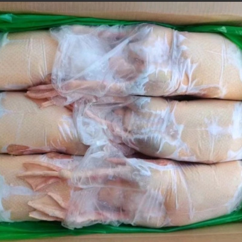 黄皮鸭板冻单只套袋都有货，全部现货