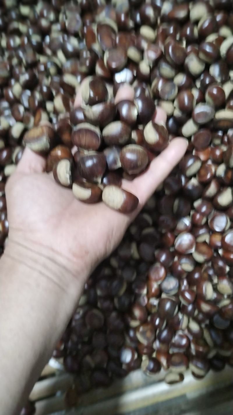 精品野栗子