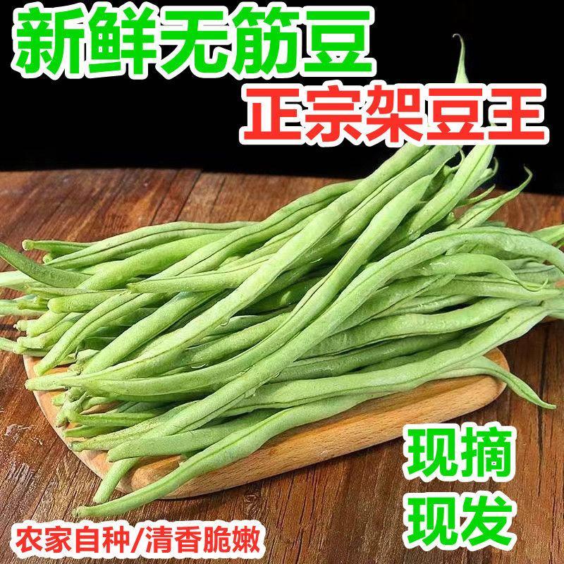 贵州四季豆青色无筋豆角大量上市货源充足价格可谈