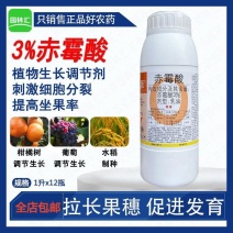 国光顶跃3%赤霉酸刺激细胞分裂提高坐果率四川产生长调节剂