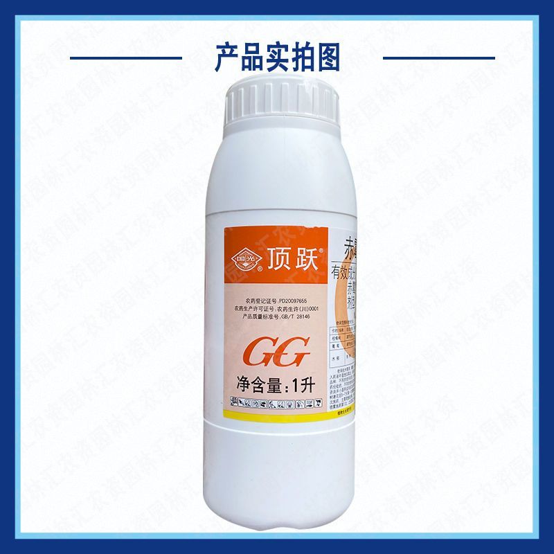 国光顶跃3%赤霉酸刺激细胞分裂提高坐果率四川产生长调节剂