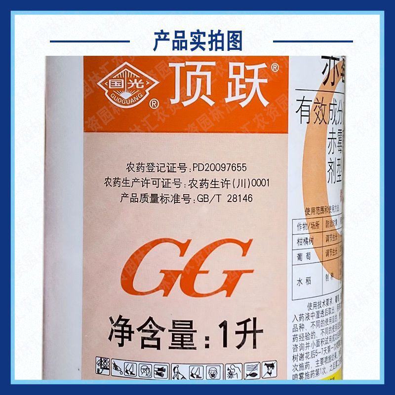 国光顶跃3%赤霉酸刺激细胞分裂提高坐果率四川产生长调节剂