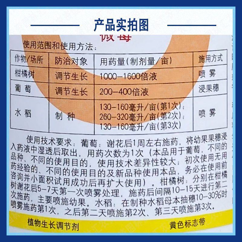 国光顶跃3%赤霉酸刺激细胞分裂提高坐果率四川产生长调节剂