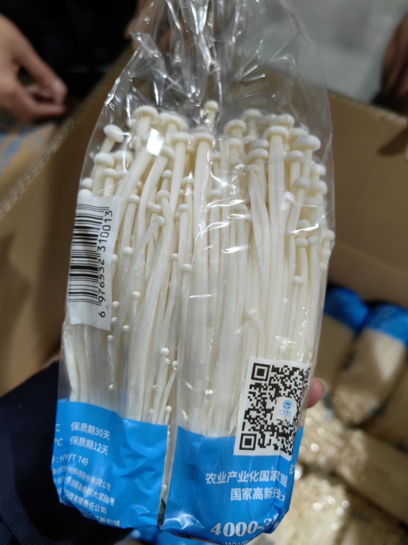 华绿金针菇，小包装，300g