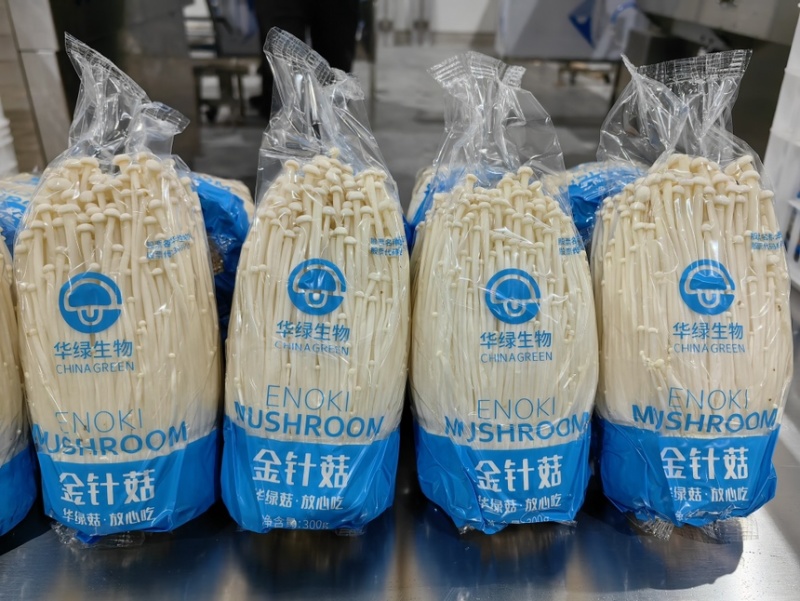 华绿金针菇，小包装，300g