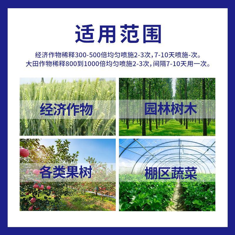 植物防冻剂叶面肥果树蔬菜苗木大棚防冻液倒春寒霜防寒抗寒抗