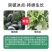 植物防冻剂叶面肥果树蔬菜苗木大棚防冻液倒春寒霜防寒抗寒抗