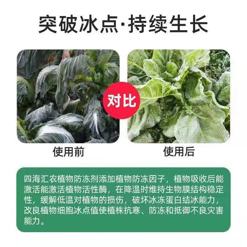 植物防冻剂叶面肥果树蔬菜苗木大棚防冻液倒春寒霜防寒抗寒抗